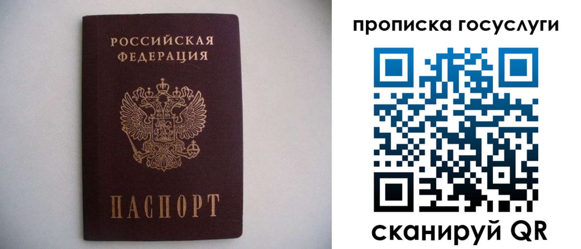 прописка в квартире в Туле